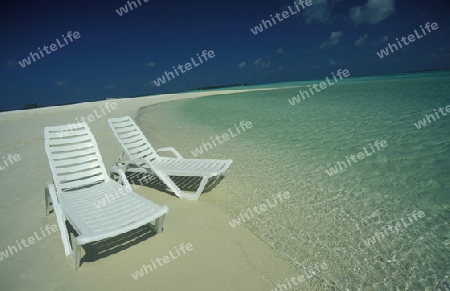 
Der Traumstrand mit Palmen und weissem Sand an der Insel Velavaru im Southmale Atoll auf den Inseln der Malediven im Indischen Ozean.   