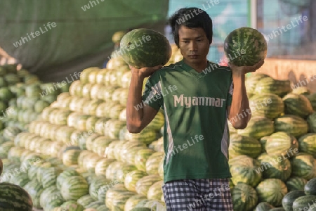 Melons in a Fruit market in a Market near the City of Yangon in Myanmar in Southeastasia.