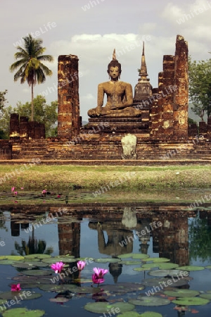 Eine Buddha Figur  im Wat Mahathat Tempel in der Tempelanlage von Alt-Sukhothai in der Provinz Sukhothai im Norden von Thailand in Suedostasien.