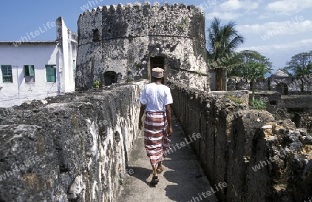 Die Altstadt von Stone Town  oder Zanzibar Town der Hauptstadt der Insel Sansibar im Indischen Ozean in Tansania in Ostafrika.