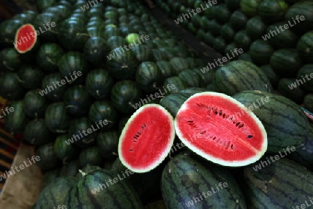 Wassermelonen auf dem Talat Warorot Markt in Chiang Mai in der Provinz Chiang Mai im Norden von Thailand in Suedostasien.