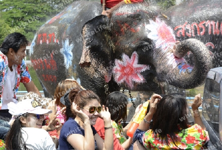 Das Songkran Fest oder Wasserfest zum Thailaendischen Neujahr ist im vollem Gange in Ayutthaya noerdlich von Bangkok in Thailand in Suedostasien.  