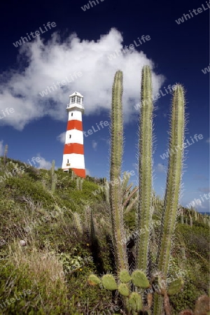 Suedamerika, Karibik, Venezuela, Los Roques, Insel, Atoll, Archipfel, Klima, Reef, Dorfinsel, Landschaft, Berg, Huegel, Fels, Rundsicht, Sicht vom Bergspitz, Hoechter Punkt der Insel, 