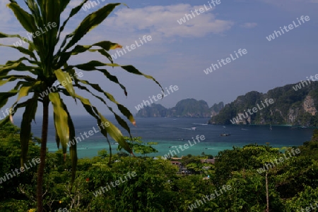 The view from the Viewpoint on the Town of Ko PhiPhi on Ko Phi Phi Island outside of the City of Krabi on the Andaman Sea in the south of Thailand. 