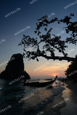 The Hat Phra Nang Beach at Railay near Ao Nang outside of the City of Krabi on the Andaman Sea in the south of Thailand. 