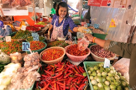 Menschen auf dem Grossen Lebensmittelmarkt von Talat Warorot in Chiang Mai im Norden von Thailand.