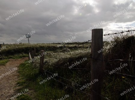 Wangerooge