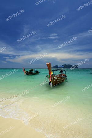 A Beach on the Island of Ko PhiPhi on Ko Phi Phi Island outside of the City of Krabi on the Andaman Sea in the south of Thailand. 