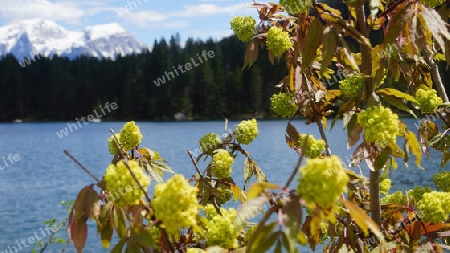 Hintersee.08