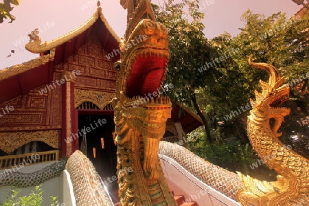 Der Wat Phra Kaew in der Altstadt von Chiang Rai in der Provinz chiang Rai im Norden von Thailand in Suedostasien.