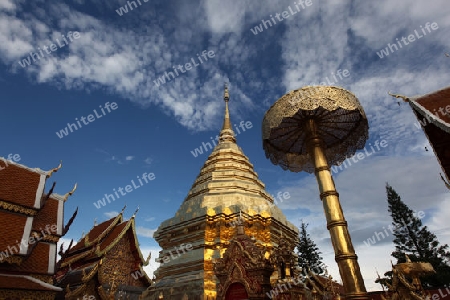 Der Chedi der Tempel Anlage des Wat Phra That Doi Suthep bei Chiang Mai in der Provinz Chiang Mai im Norden von Thailand in Suedostasien.