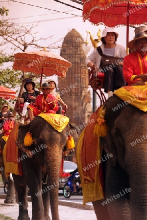 Ein Elephanten Taxi vor einem der vielen Tempel in der Tempelstadt Ayutthaya noerdlich von Bangkok in Thailand. 