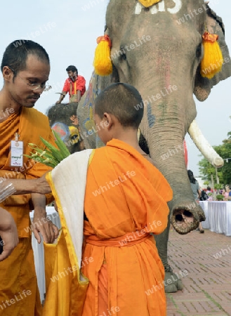 Das Songkran Fest oder Wasserfest zum Thailaendischen Neujahr ist im vollem Gange in Ayutthaya noerdlich von Bangkok in Thailand in Suedostasien.  