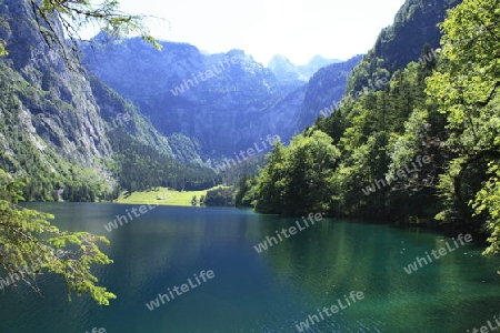 Obersee