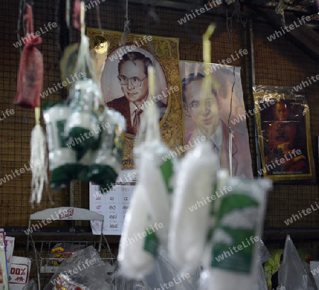 Ein Bild das Koenig Bhumibol auf einem Markt in Chiang Mai im norden von Thailand in Suedostasien.