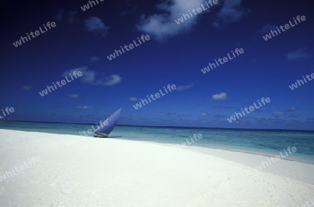 
Der Traumstrand mit Palmen und weissem Sand an der Insel Velavaru im Southmale Atoll auf den Inseln der Malediven im Indischen Ozean.   