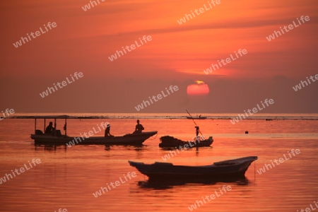 Die Kueste mit Booten in der Seegrass Plantage auf der Insel Nusa Lembongan der Nachbarinsel von Bali, Indonesien.