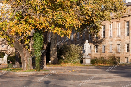 im Schlossgarten