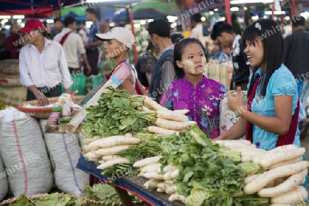 a fegetable market in a Market near the City of Yangon in Myanmar in Southeastasia.