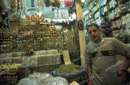 Der Souq oder Markt in der Medina der Altstadt von Aleppo im Norden von Syrien im Nahen Osten.