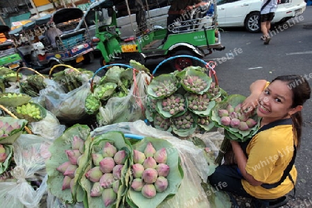 Blumen auf dem Pak Khlong Markt von Bangkok der Hauptstadt von Thailand in Suedostasien.