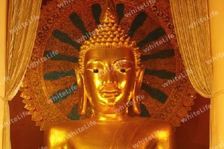 wat chedi luang wora wiharn