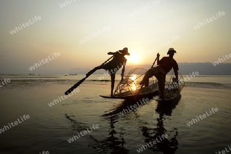 Fishermen at sunrise in the Landscape on the Inle Lake in the Shan State in the east of Myanmar in Southeastasia.