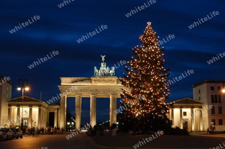 Brandenburger Baum