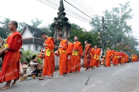 Moenche am fruehen Morgen beim einsammeln von Reis in der Altstadt von Luang Prabang in Zentrallaos von Laos in Suedostasien.