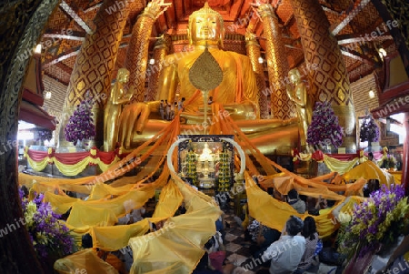 A allday ceremony in the Wat Phanan Choeng Temple in City of Ayutthaya in the north of Bangkok in Thailand, Southeastasia.