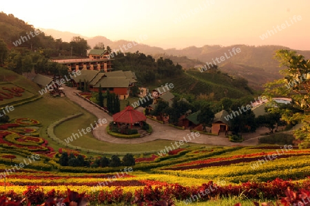 Das Hotel Resort Maesalong Flower Hills beim Bergdorf Mae Salong in der Huegellandschaft noerdlich von Chiang Rai in der Provinz Chiang Rai im Norden von Thailand in Suedostasien.