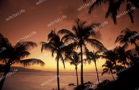 the landscape on the coast of the village Moya on the Island of Anjouan on the Comoros Ilands in the Indian Ocean in Africa.   