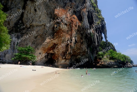 The Hat Phra Nang Beach at Railay near Ao Nang outside of the City of Krabi on the Andaman Sea in the south of Thailand. 