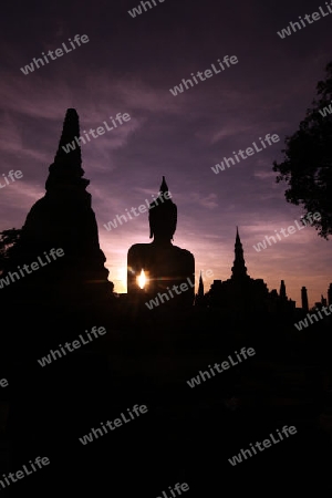 Eine Buddha Figur  im Wat Mahathat Tempel in der Tempelanlage von Alt-Sukhothai in der Provinz Sukhothai im Norden von Thailand in Suedostasien.