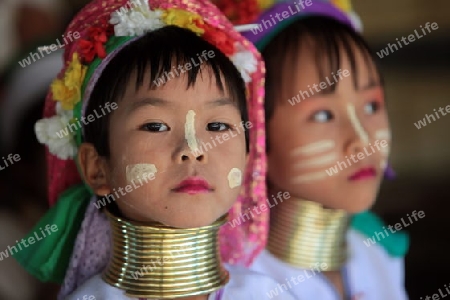 Eine Traditionell gekleidete Langhals Frau eines Paudang Stammes aus Burma lebt in einem Dorf noerdlich von Chiang Mai in Nord Thailand.