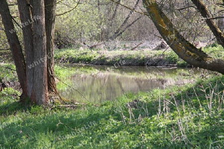 Flusslandschaft