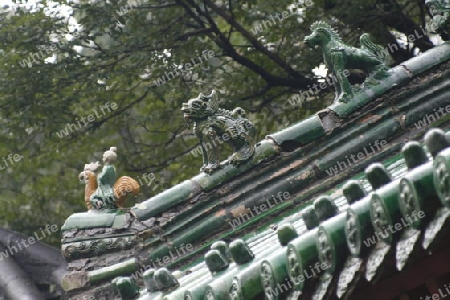 Dachgeister auf einem Dach im Shaolin Tempel, China