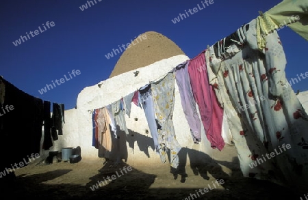 Menschen in der Wueste beim Tempeldorf und Oase Palmyra im osten von Syrien.