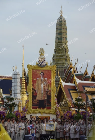 Tausende von Thailaender zelebrieren den Kroenungstag des Koenig Bhumibol auf dem Sanam Luang Park vor dem Wat Phra Kaew in der Stadt Bangkok in Thailand in Suedostasien.  