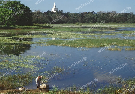 Landschaft mit Stupa und W?scherin