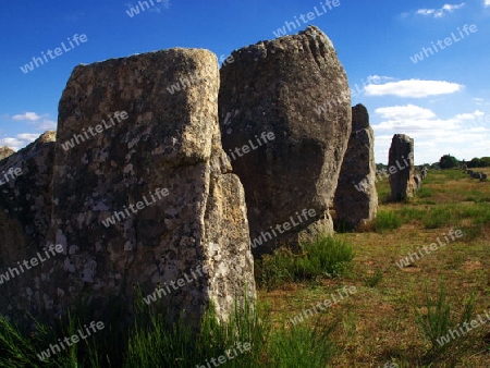 Steinreihen der Kelten bei Carnac