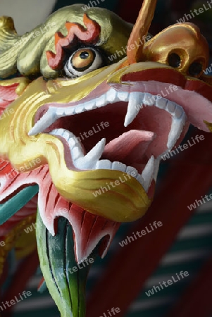 Ein Drachen im Chinesischer Tempel bei der Saphan Taksin Bruecke am Mae Nam Chao Phraya River in der Hauptstadt Bangkok von Thailand in Suedostasien.