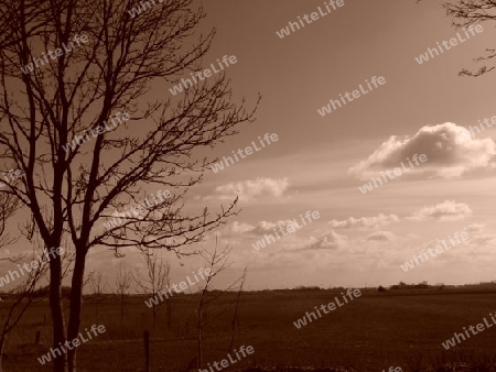 Wolken Sepia