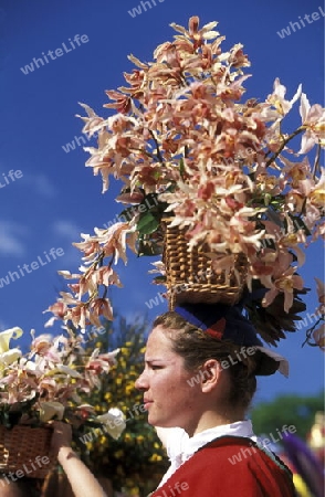 Das traditionelle Fruehlings Blumenfest in der Hauptstadt Funchal auf der Insel Madeira im Atlantischen Ozean