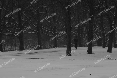 Winterlandschaft