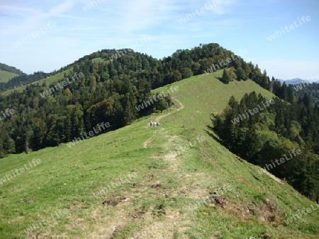 Bergkamm_1, Schweiz, SG