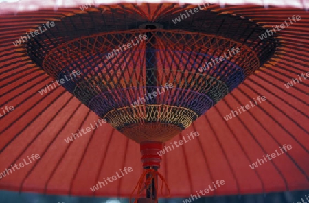 a red umbrella in restaurant in the streets in the City centre of Tokyo in Japan in Asia,