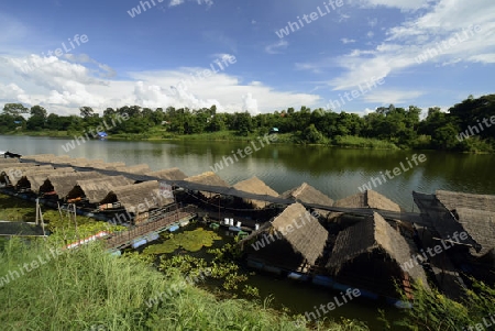 Ein Fischrestaurant am Moon River in der Umgebung von Ubon Ratchathani im nordosten von Thailand in Suedostasien.