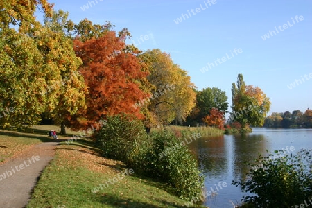 Herbst im Neuen Garten am Heiligen See