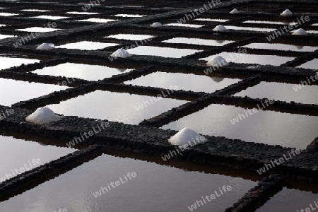 the Salinas of Las Salinas on the Island Fuerteventura on the Canary island of Spain in the Atlantic Ocean.